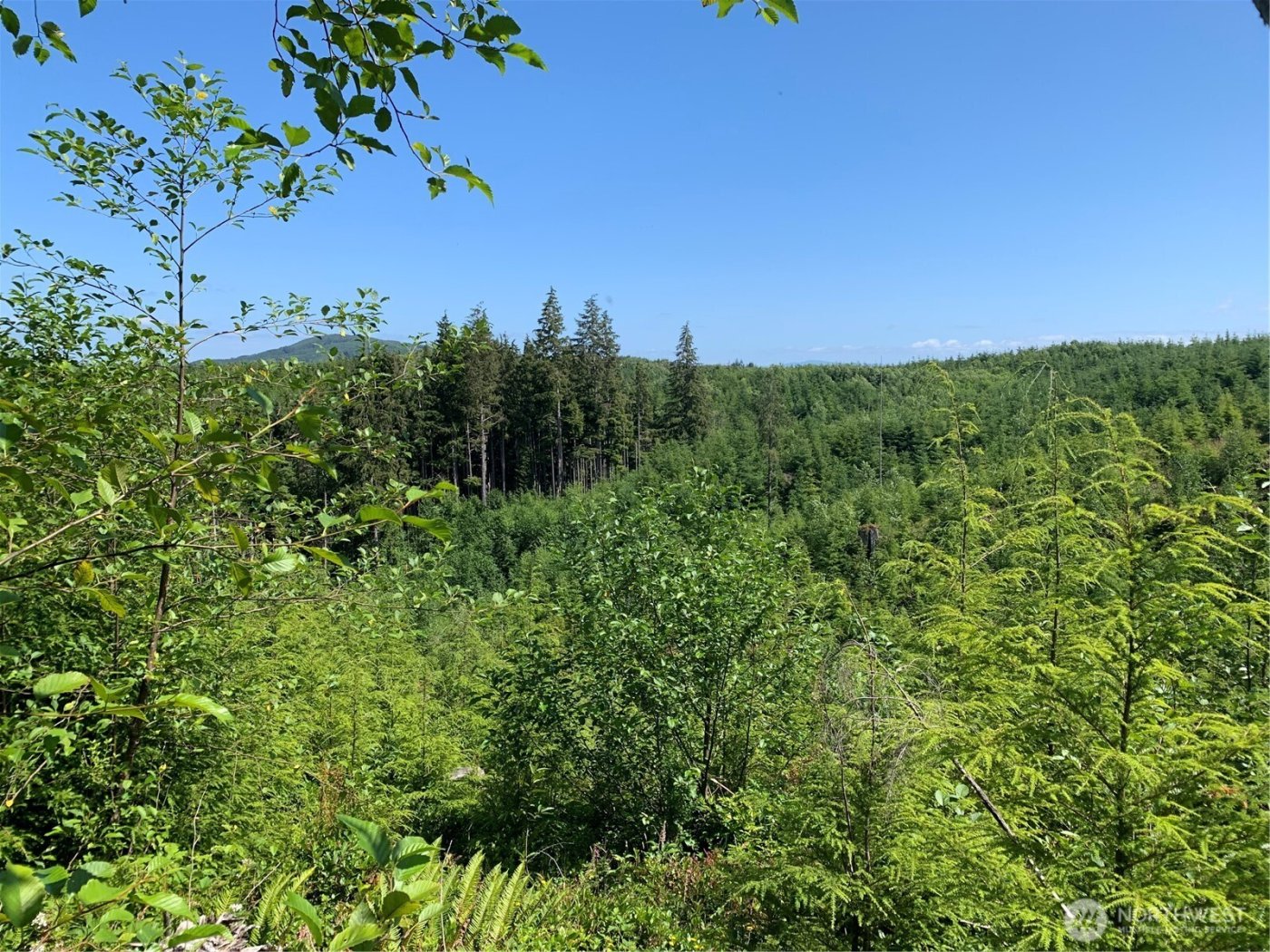 2 Tract Parpala Road , Naselle, WA 98638