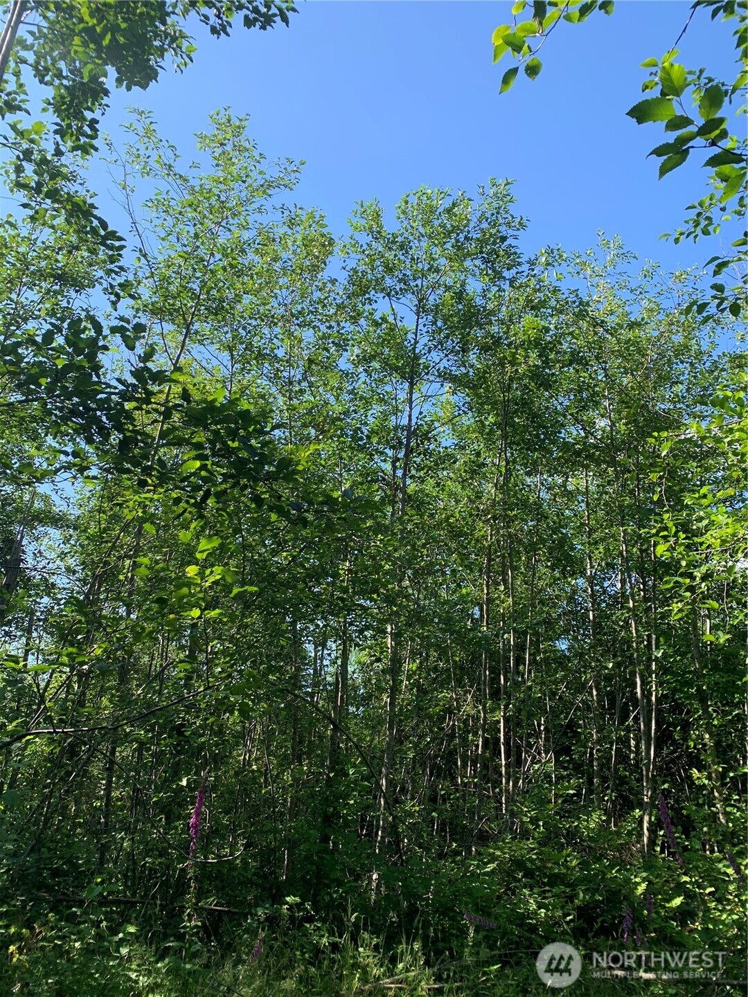 2 Tract Parpala Road , Naselle, WA 98638