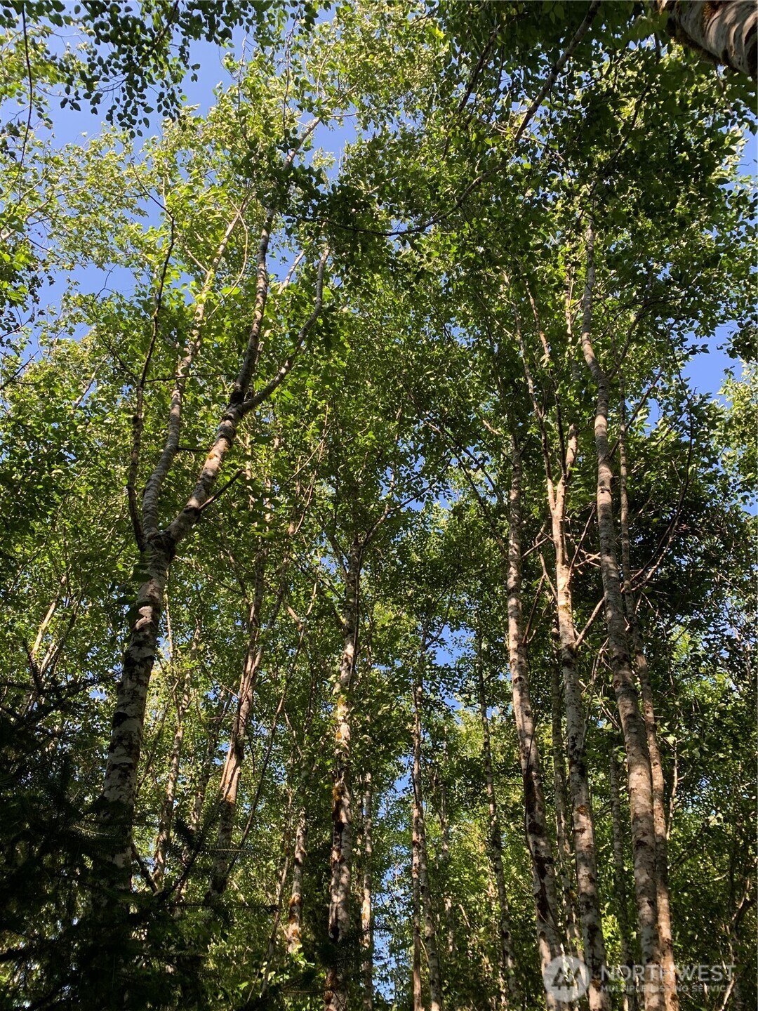 2 Tract Parpala Road , Naselle, WA 98638