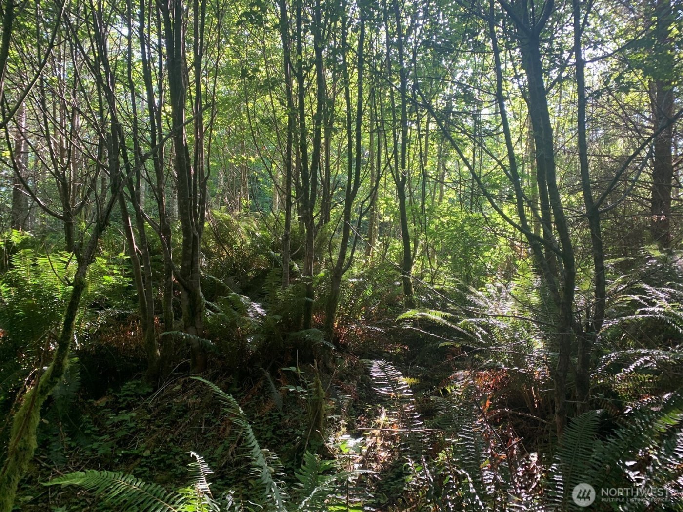 2 Tract Parpala Road , Naselle, WA 98638