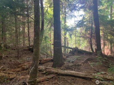 1 Tract Parpala Road , Naselle, WA 98638 - Photo 1