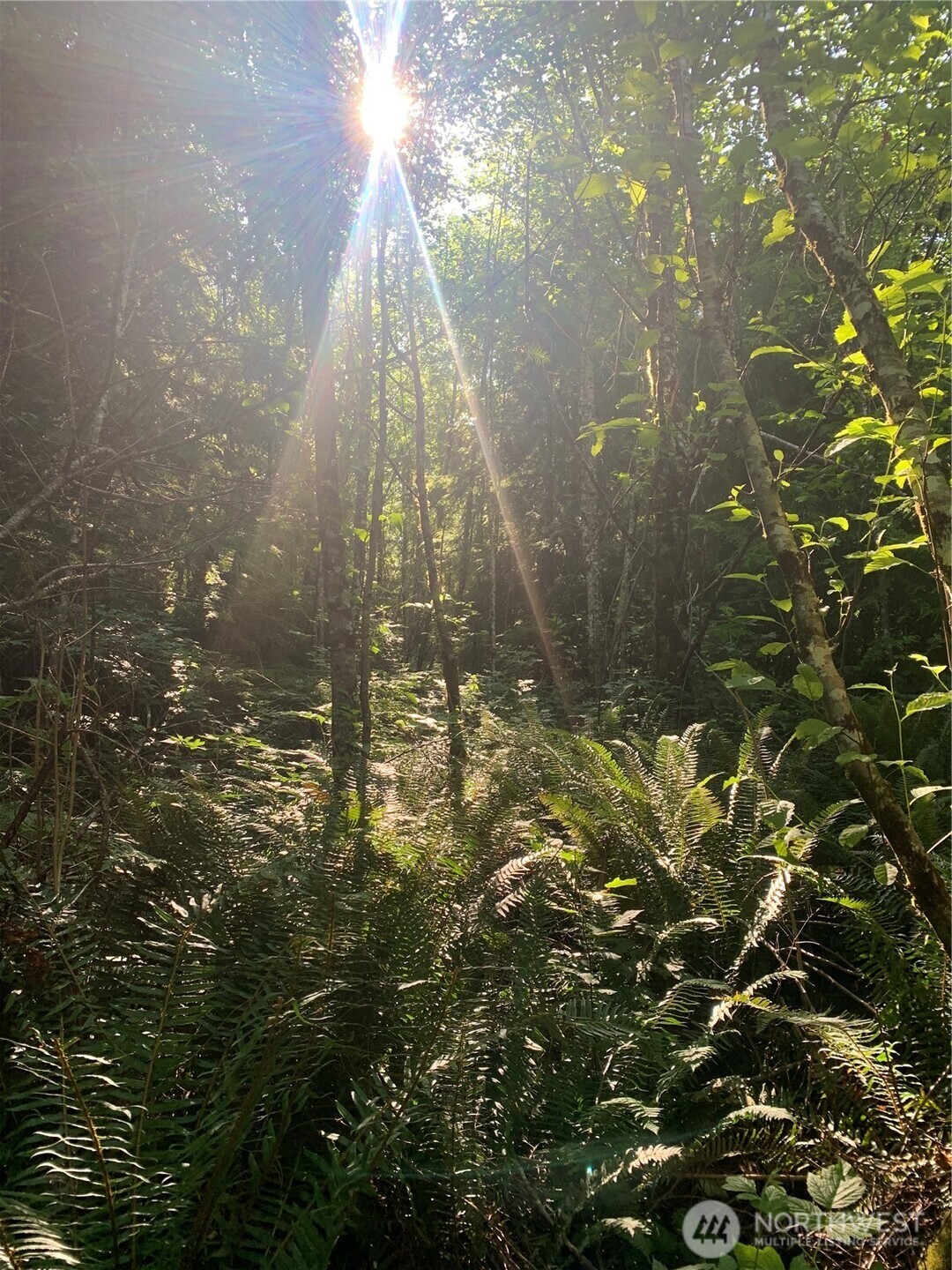 1 Tract Parpala Road , Naselle, WA 98638