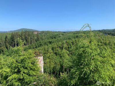 1 Tract Parpala Road , Naselle, WA 98638 - Photo 11