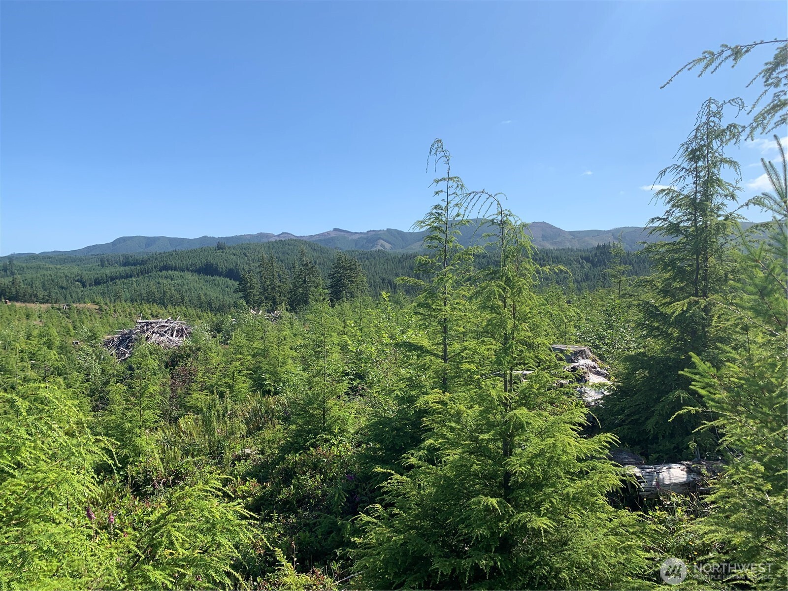 1 Tract Parpala Road , Naselle, WA 98638