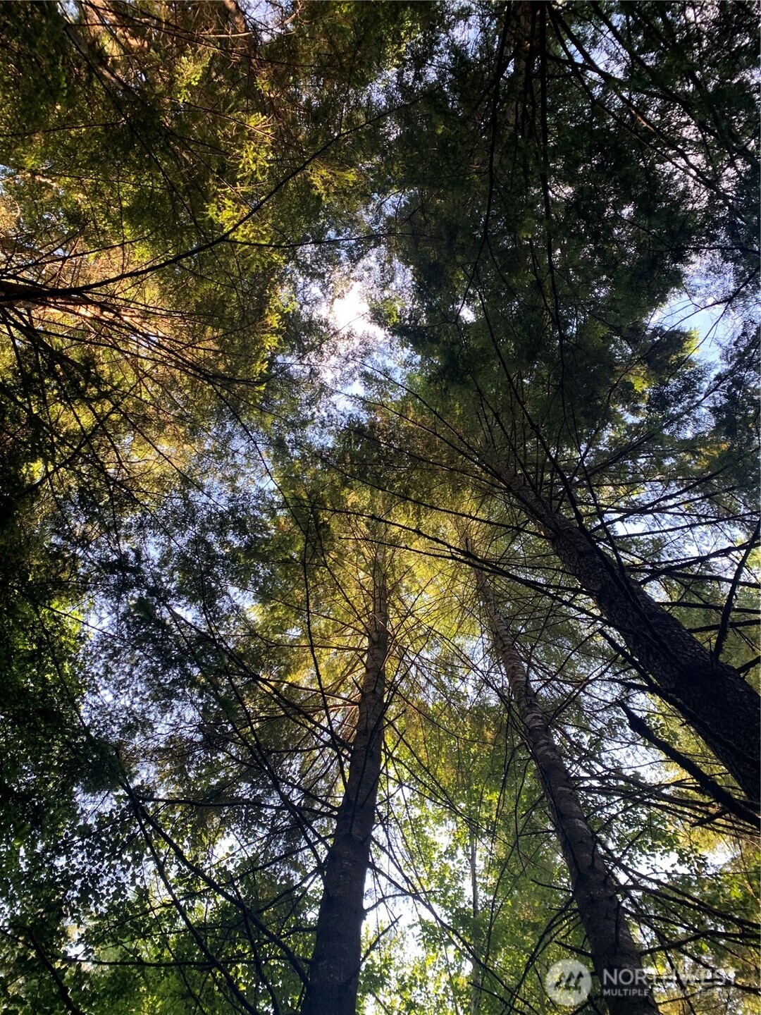 1 Tract Parpala Road , Naselle, WA 98638