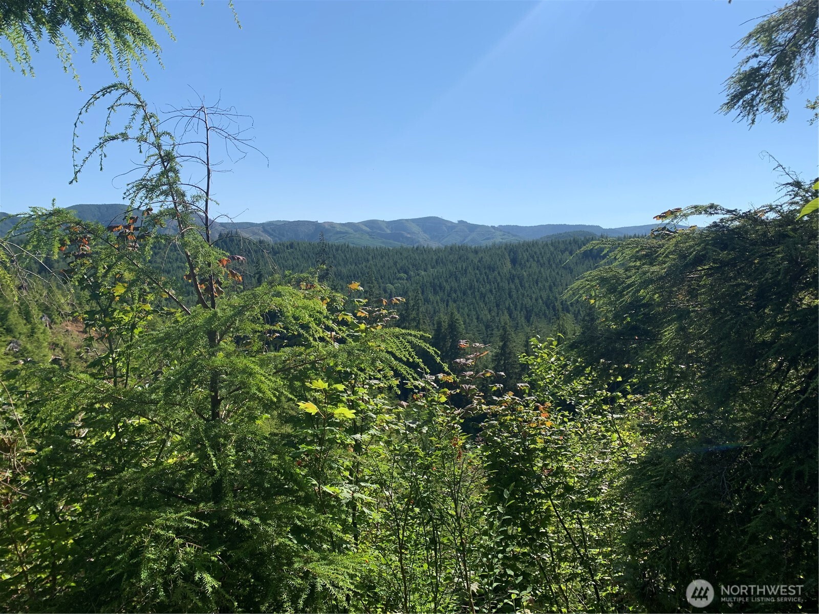 1 Tract Parpala Road , Naselle, WA 98638