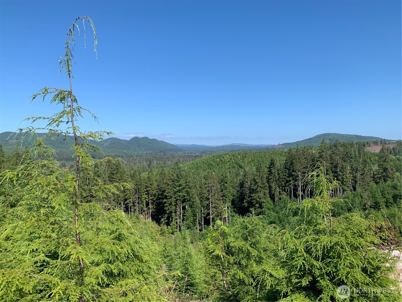 1 Tract Parpala Road , Naselle, WA 98638