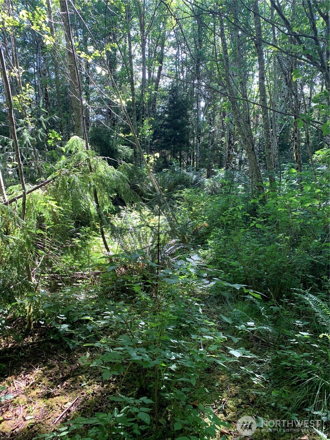 1 Tract Parpala Road , Naselle, WA 98638