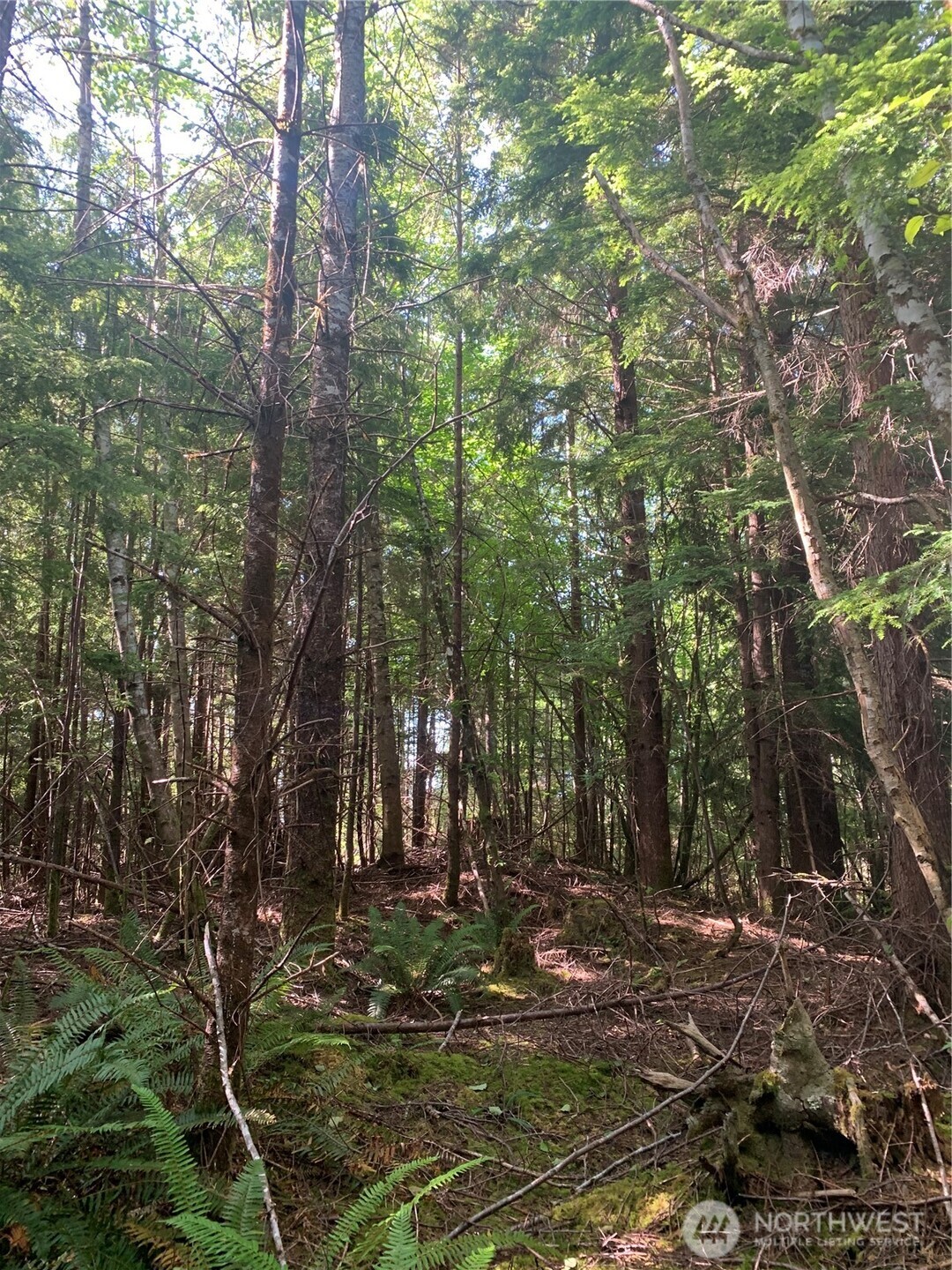 1 Tract Parpala Road , Naselle, WA 98638