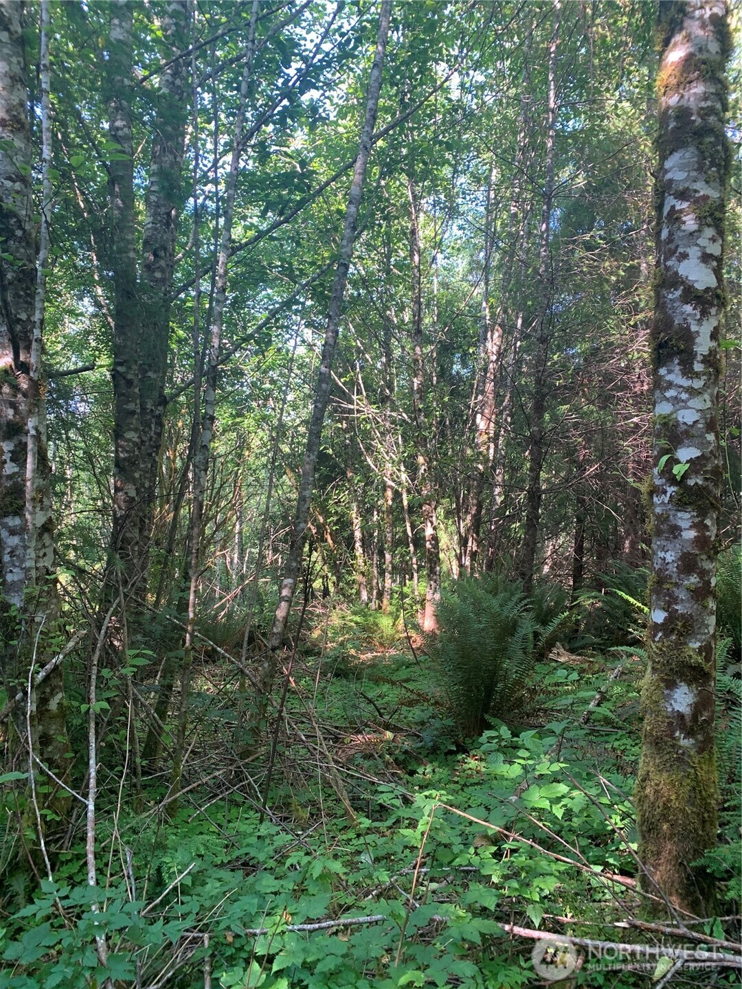 1 Tract Parpala Road , Naselle, WA 98638