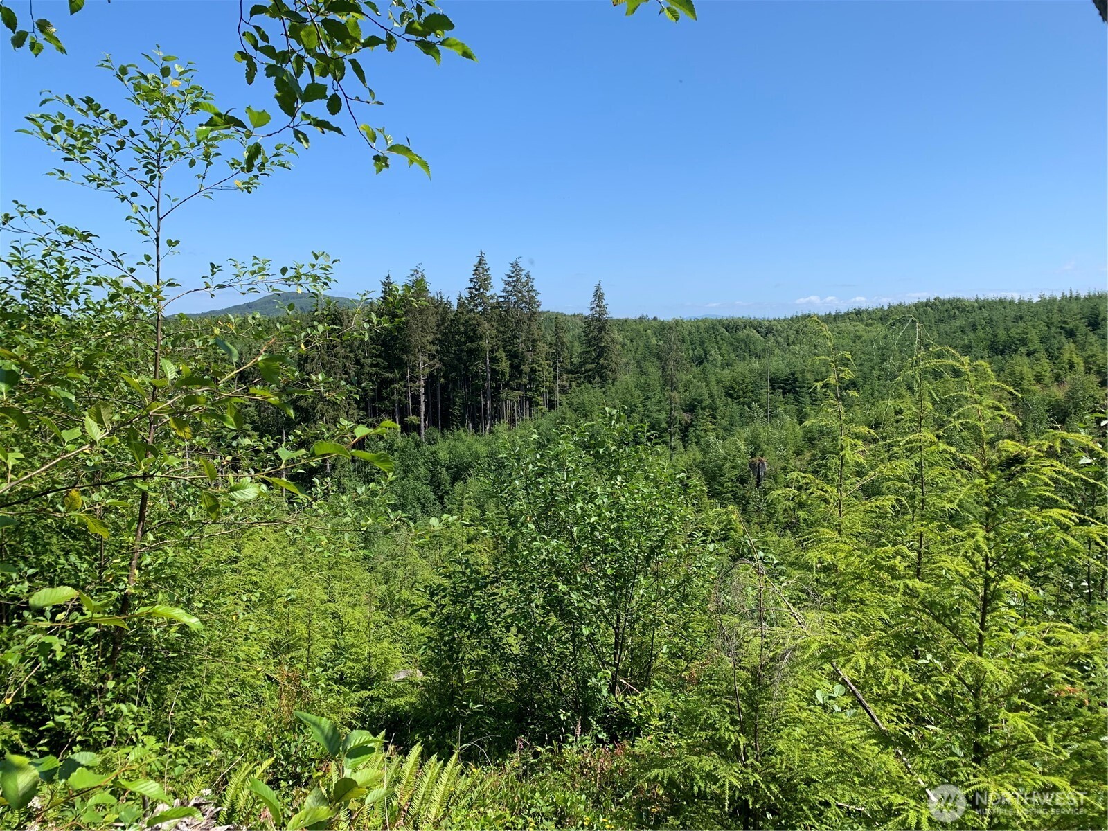 1 Tract Parpala Road , Naselle, WA 98638