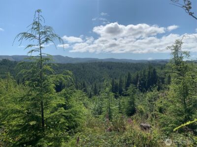 1 Tract Parpala Road , Naselle, WA 98638 - Photo 10