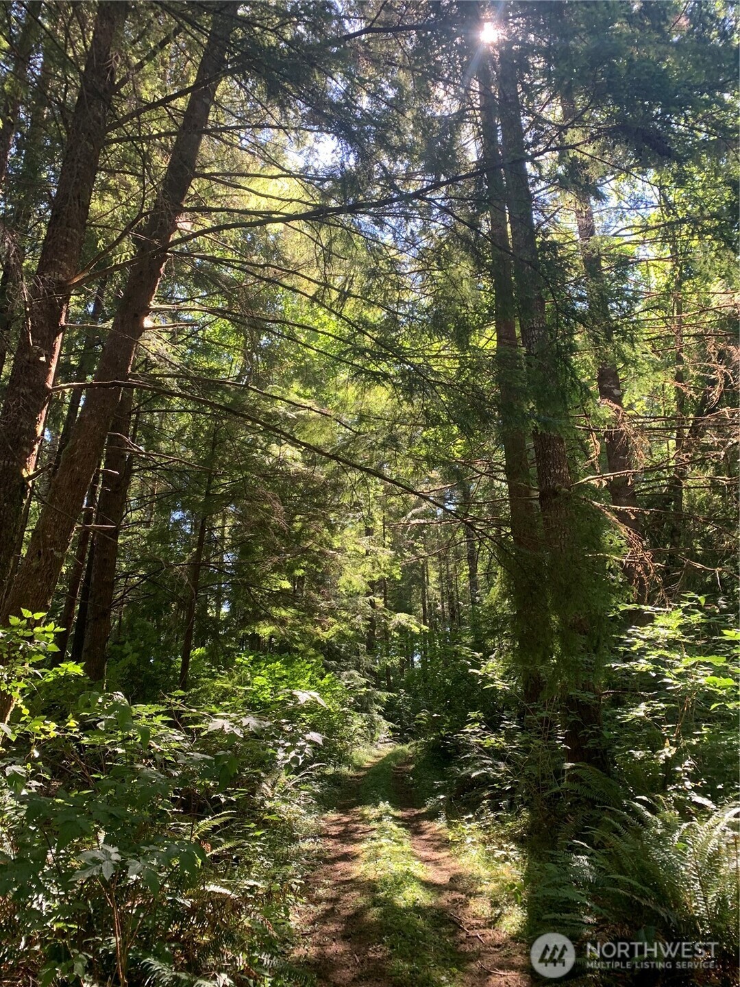 285 Parpala Road , Naselle, WA 98638