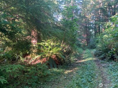 285 Parpala Road , Naselle, WA 98638 - Photo 15