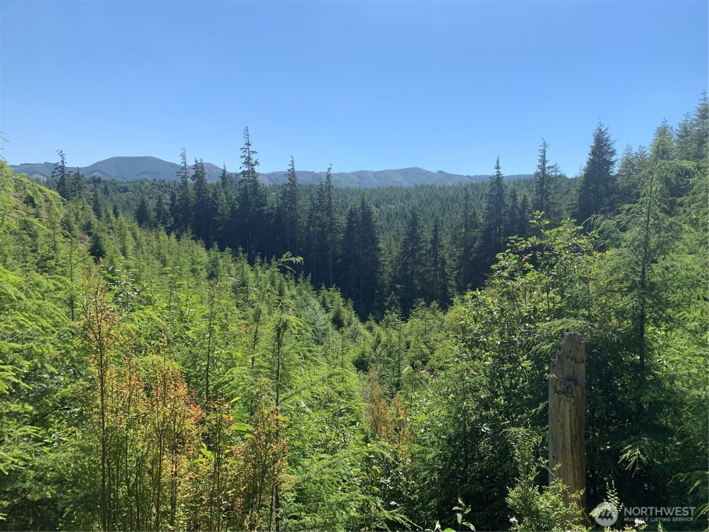 285 Parpala Road , Naselle, WA 98638