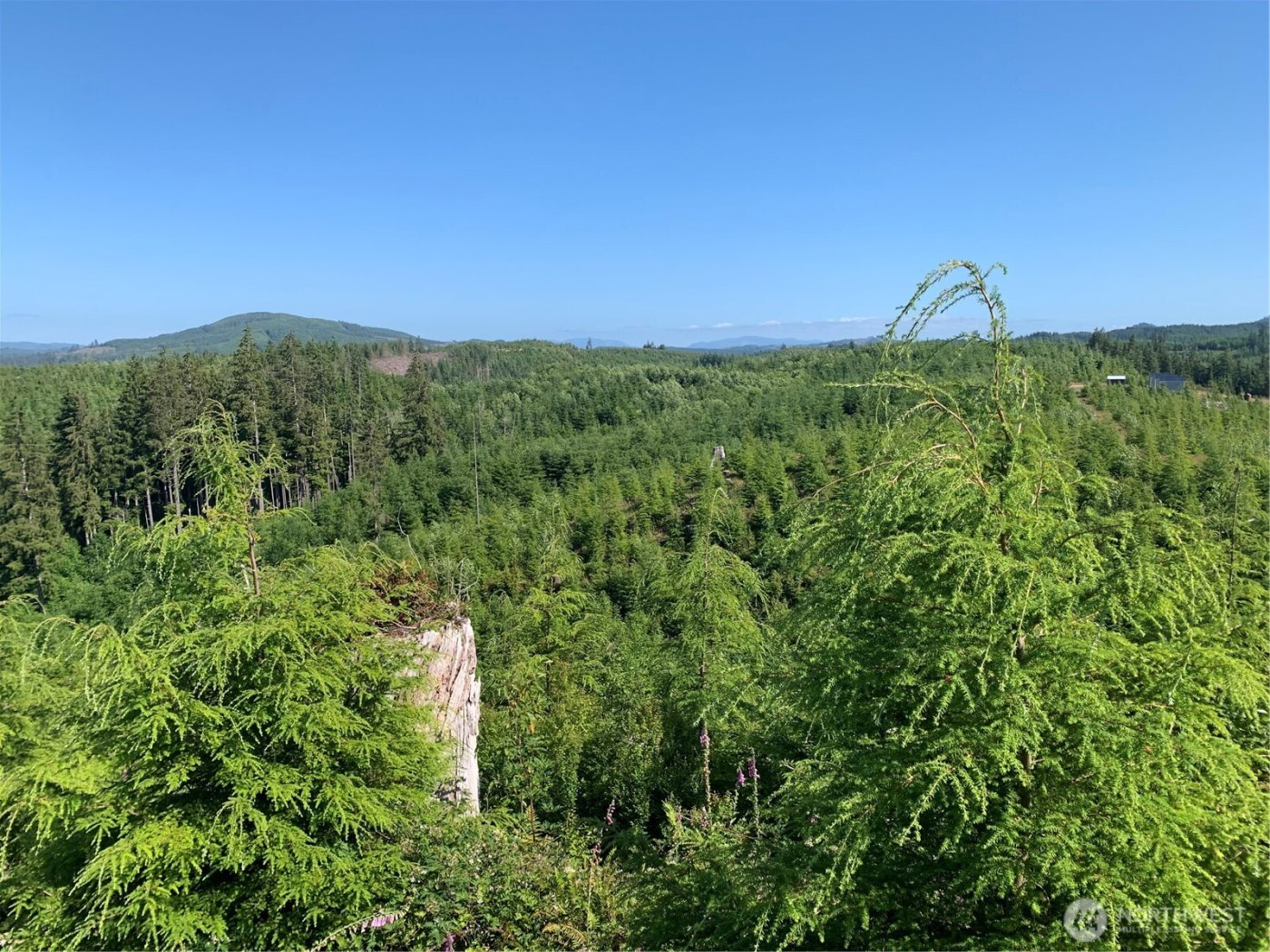 285 Parpala Road , Naselle, WA 98638