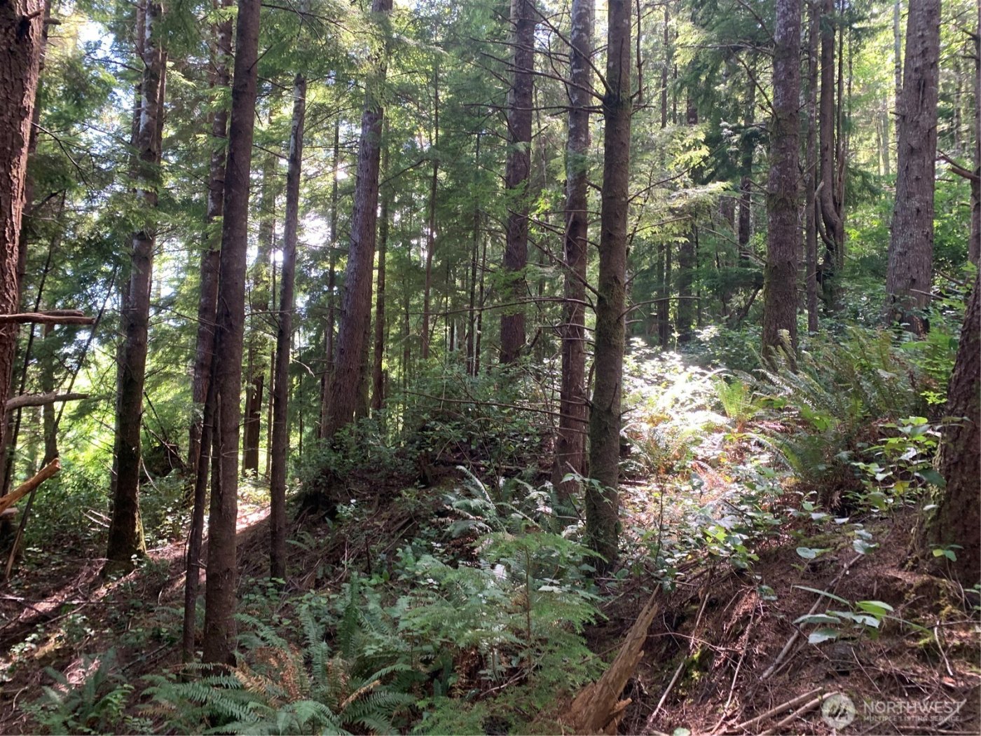 285 Parpala Road , Naselle, WA 98638