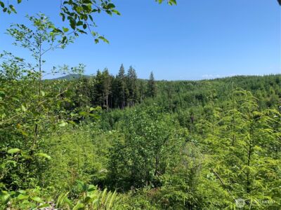 285 Parpala Road , Naselle, WA 98638 - Photo 10