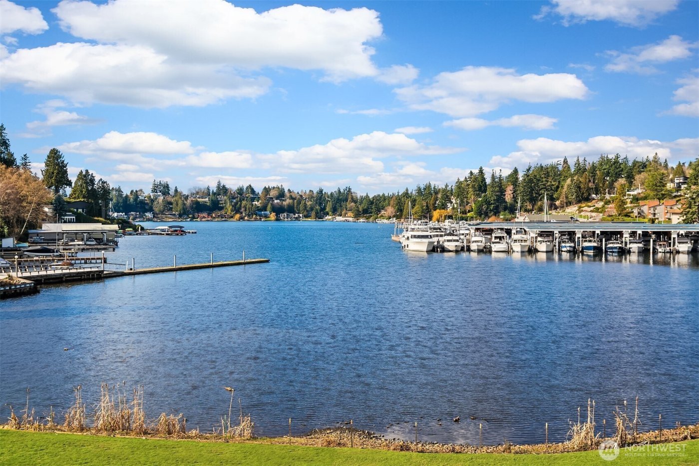 379 101st Avenue SE, Bellevue, WA 98004