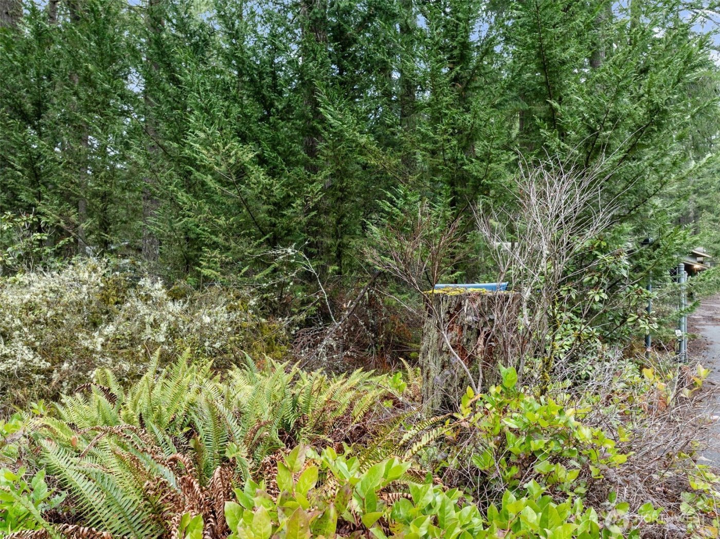 29722 SE Kent Kangley Road , Ravensdale, WA 98051