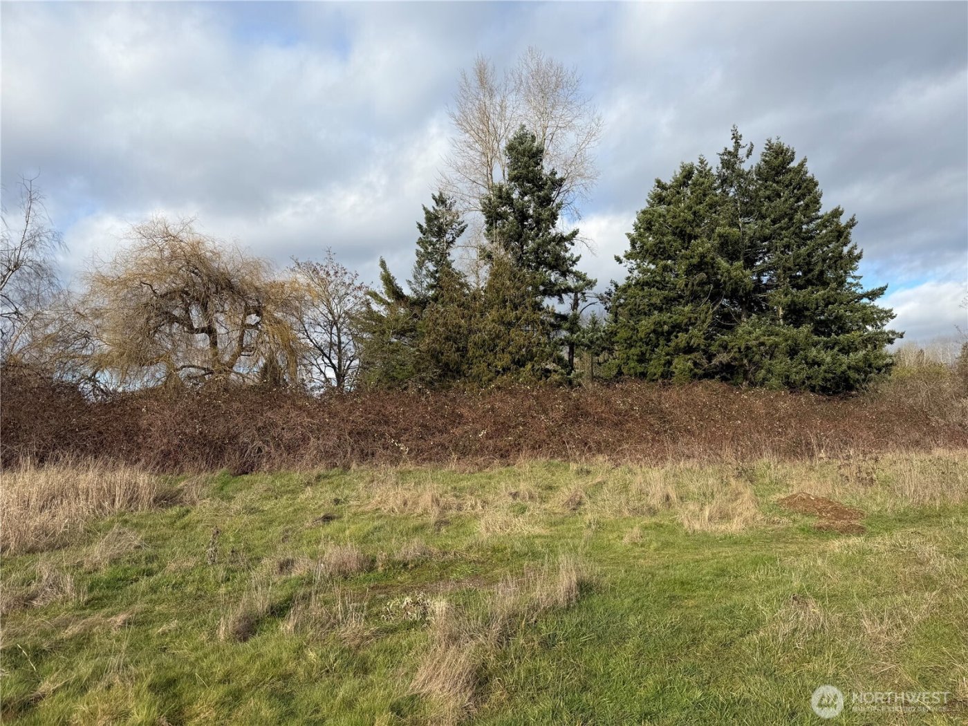 915 90th St E , Tacoma, WA 98445