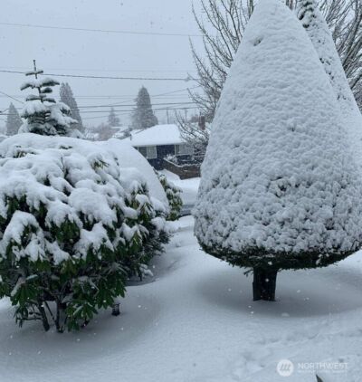 2606 N Baltimore Street , Tacoma, WA 98407 - Photo 39