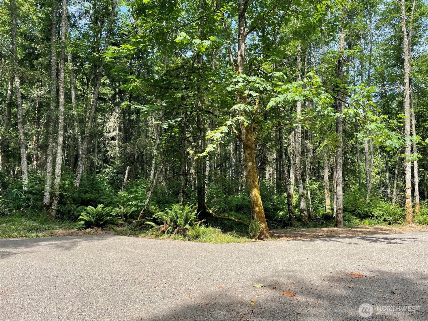 176 Lot 2 Louisa Street , Port Townsend, WA 98368