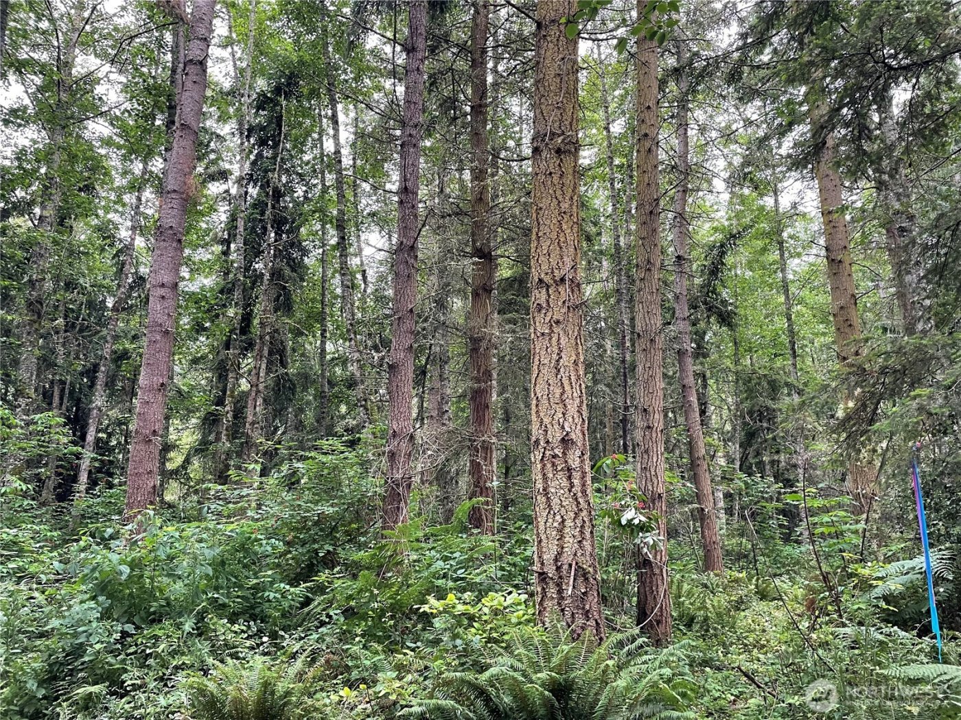 176 Lot 2 Louisa Street , Port Townsend, WA 98368