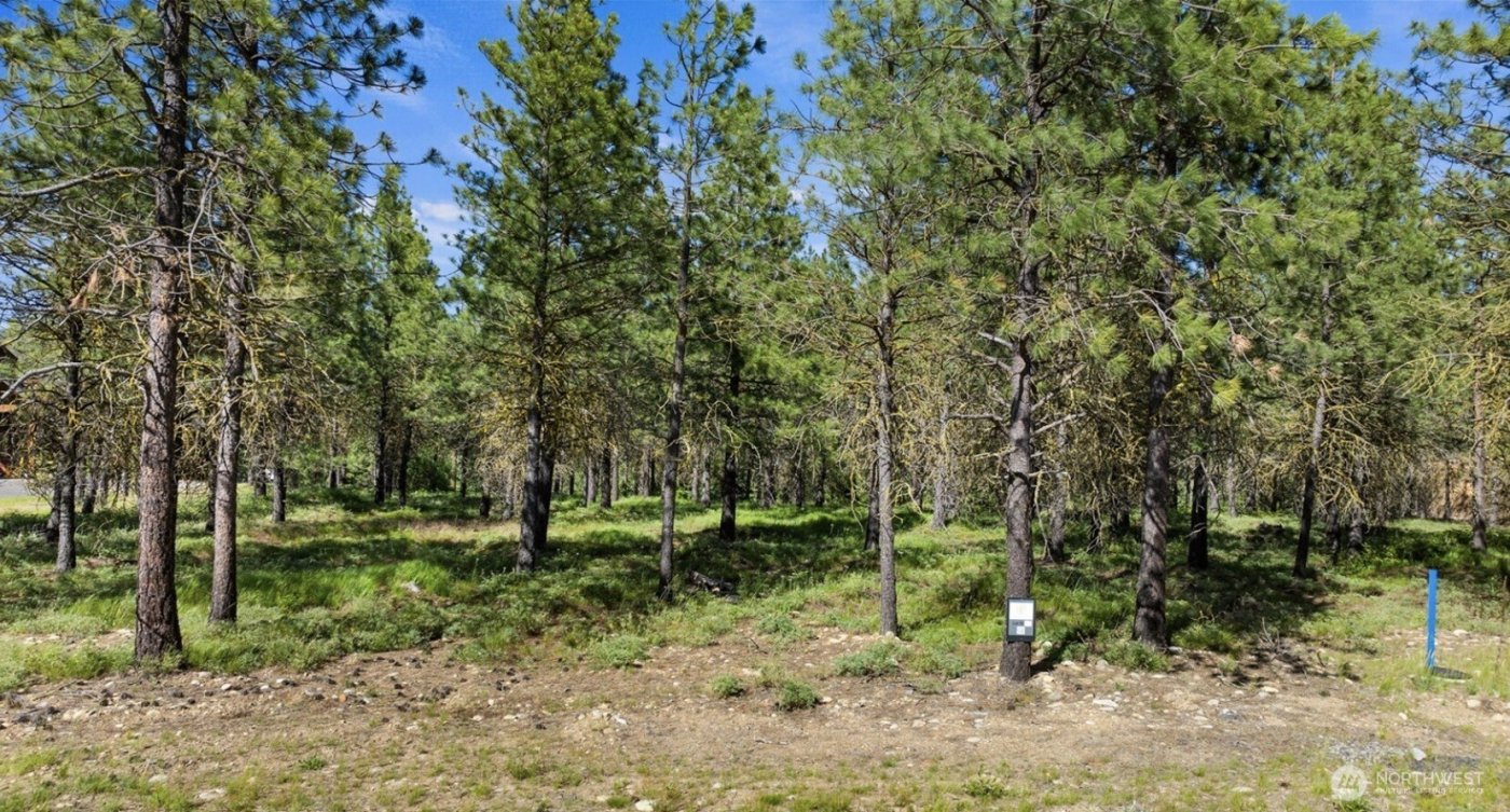 46 Southern Star Lane , Cle Elum, WA 98922