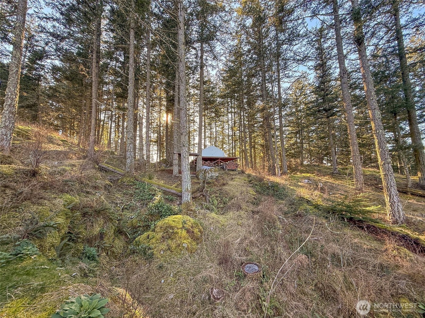 1407 Obstruction Pass Road , Orcas Island, WA 98245
