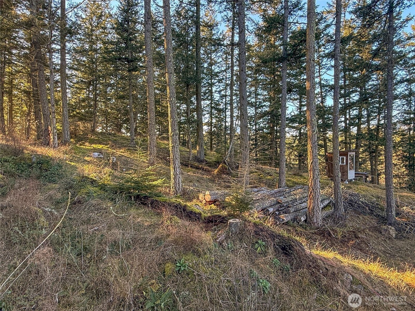 1407 Obstruction Pass Road , Orcas Island, WA 98245