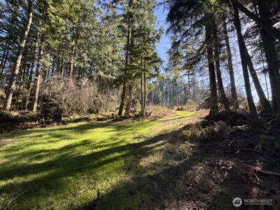 1407 Obstruction Pass Road , Orcas Island, WA 98245 - Photo 14