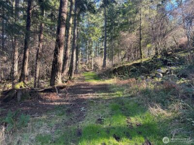 1407 Obstruction Pass Road , Orcas Island, WA 98245 - Photo 15