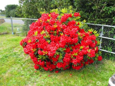 35116 I Street , Ocean Park, WA 98640 - Photo 7