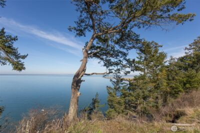 41 Victoria View Street , Sequim, WA 98382 - Photo 30