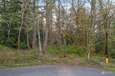 19700 SE 17th Street , Sammamish, WA 98075 - Photo 5