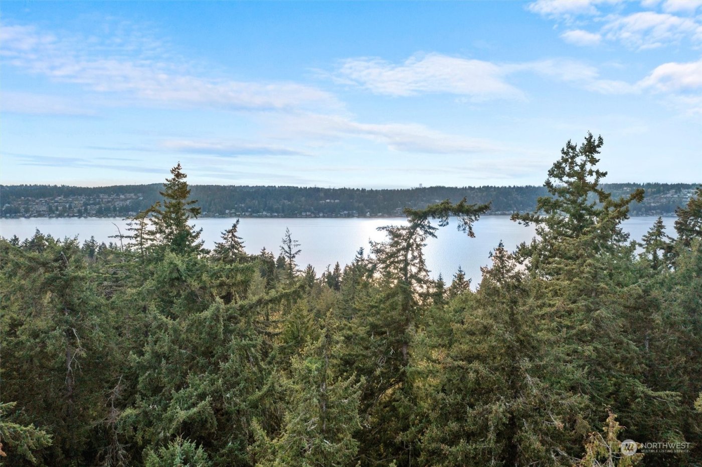 19700 SE 17th Street , Sammamish, WA 98075