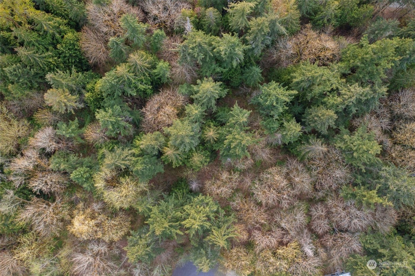 19700 SE 17th Street , Sammamish, WA 98075