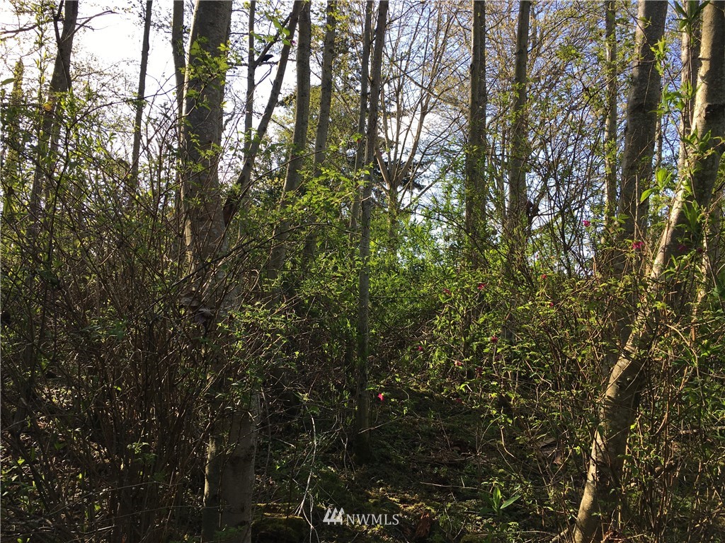 3800 West 3rd Street , Anacortes, WA 98221