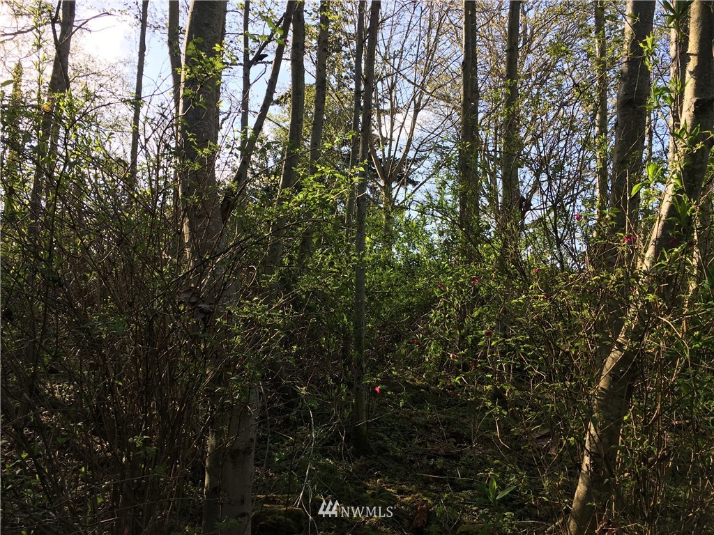 3800 West 3rd Street , Anacortes, WA 98221