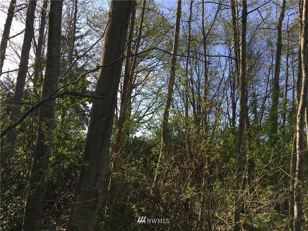 3800 West 3rd Street , Anacortes, WA 98221