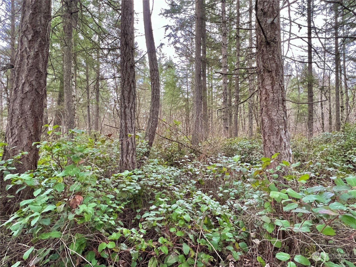 12631 200th Street E, Graham, WA 98338