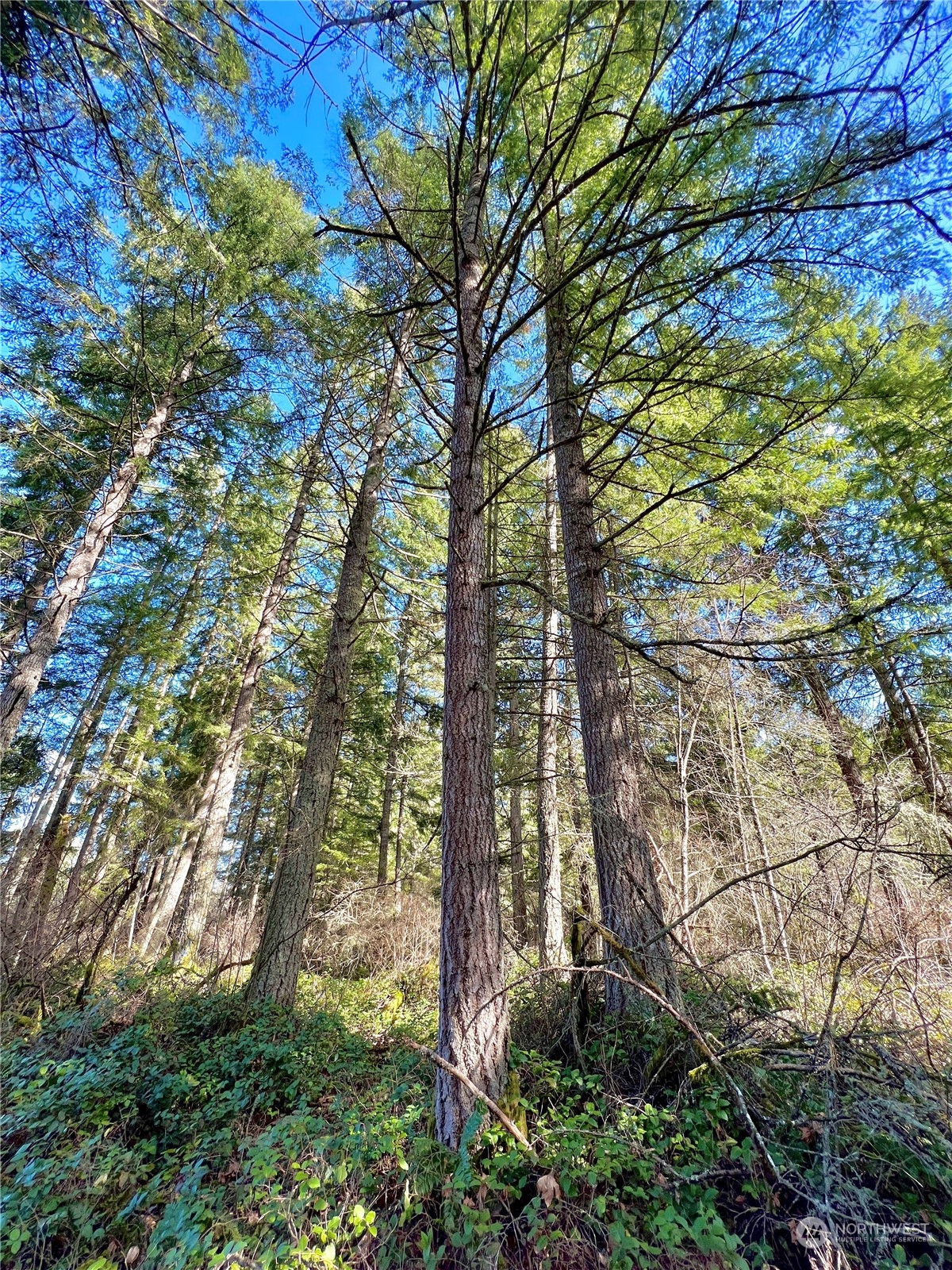 12631 200th Street E, Graham, WA 98338