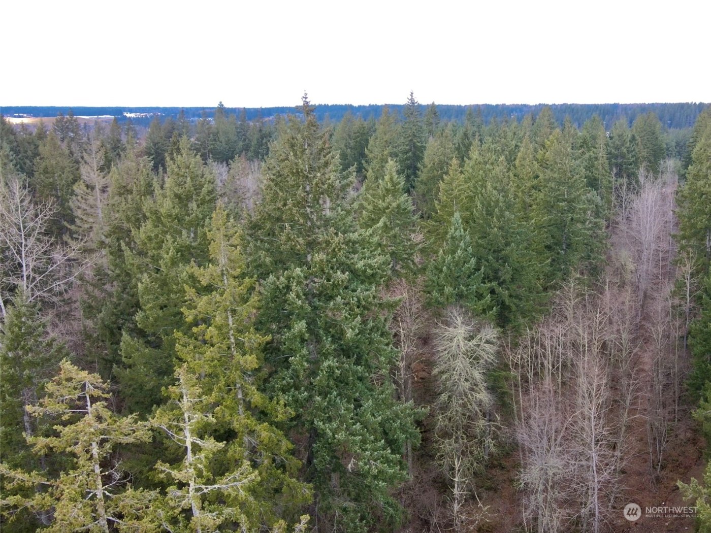 12631 200th Street E, Graham, WA 98338