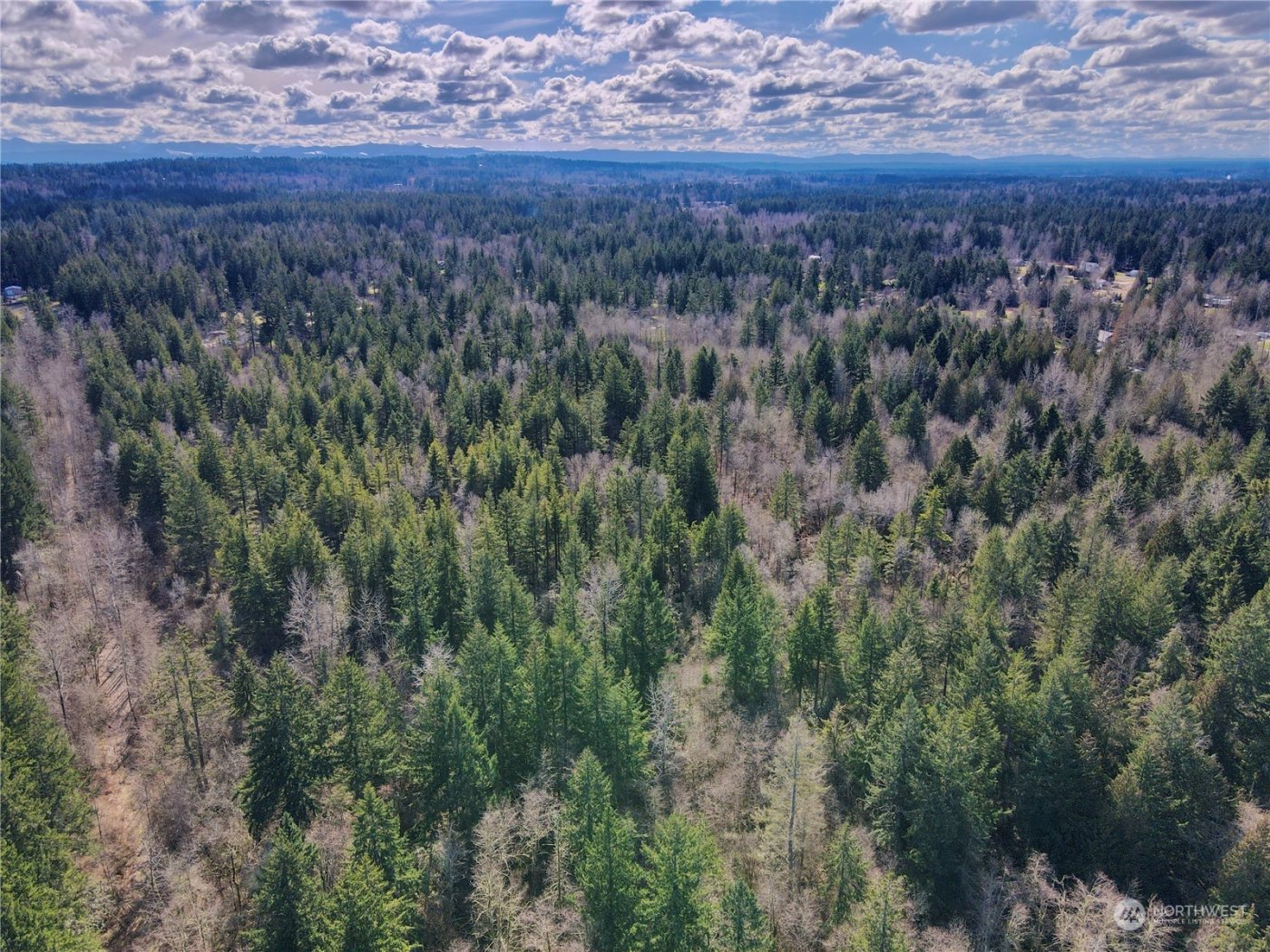 12631 200th Street E, Graham, WA 98338