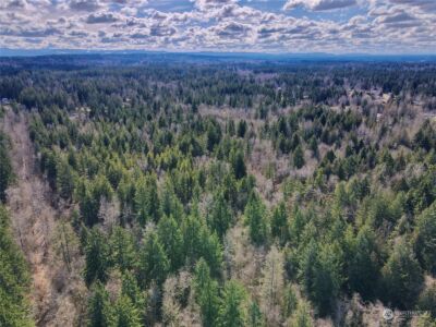 12631 200th Street E, Graham, WA 98338 - Photo 14