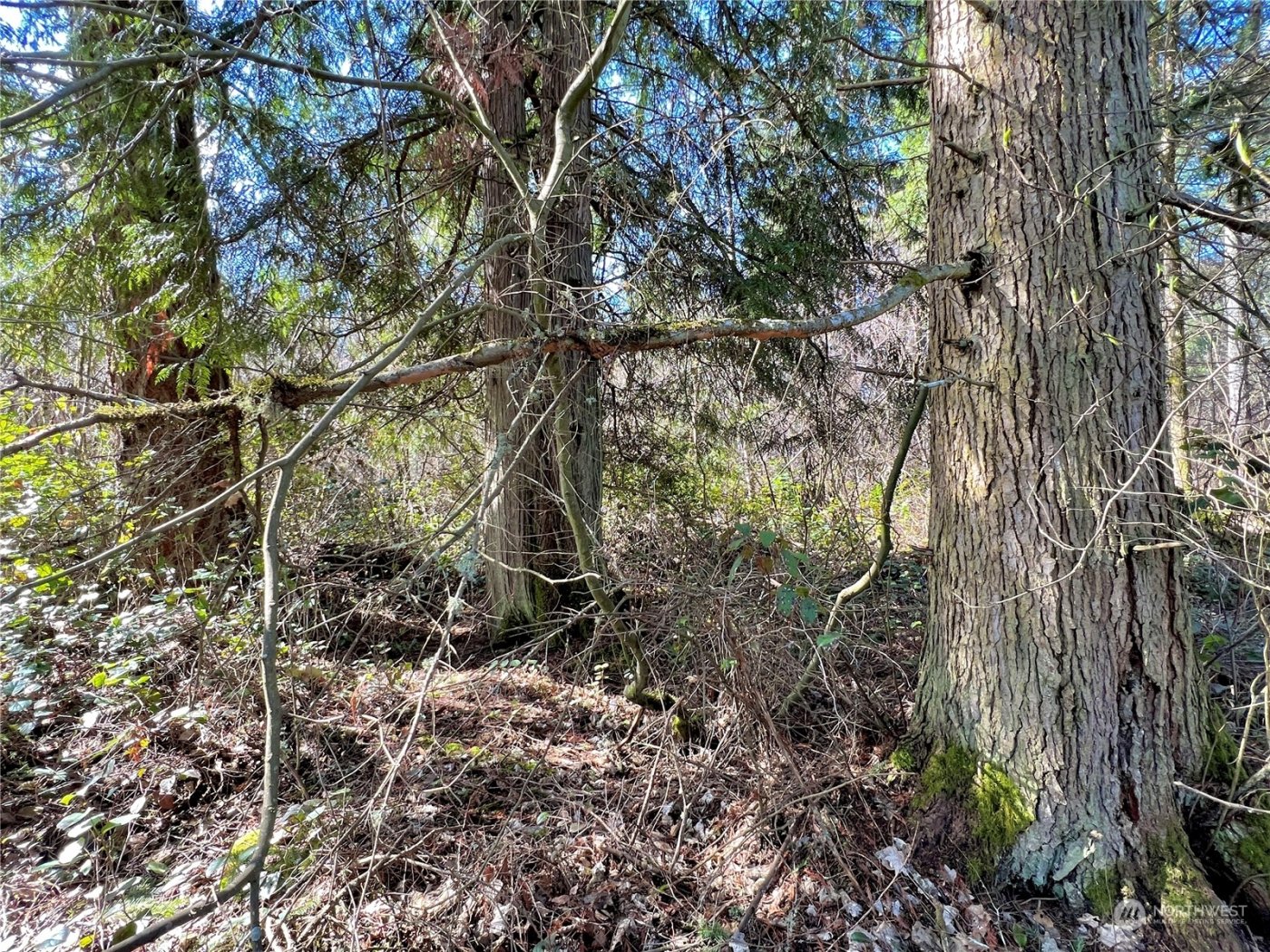 12631 200th Street E, Graham, WA 98338