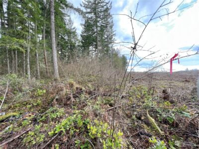 12631 200th Street E, Graham, WA 98338 - Photo 19