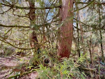 12631 200th Street E, Graham, WA 98338 - Photo 23