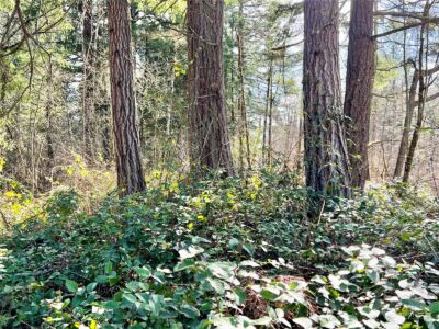 12631 200th Street E, Graham, WA 98338 - Photo 24